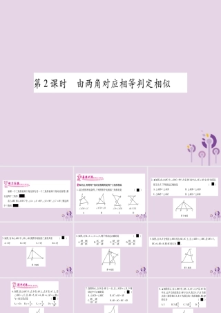 九年级数学上册 第3章 图形的相似 34 相似三角形的判定与性质 341 第2课时 作业课件 (新版)湘教版 课件