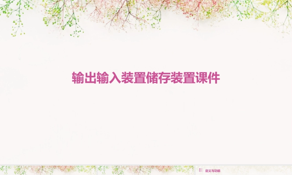 输出输入装置储存装置课件