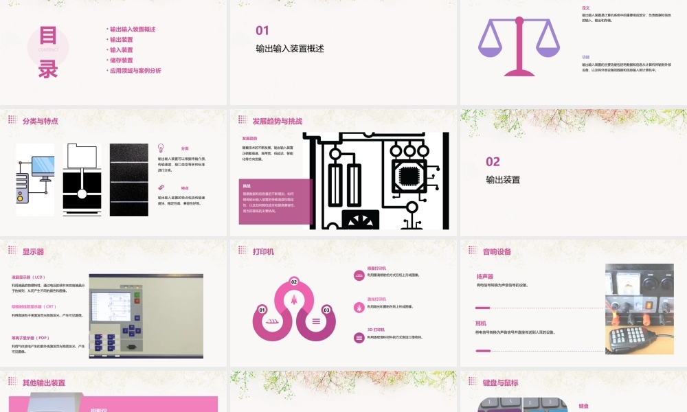 输出输入装置储存装置课件