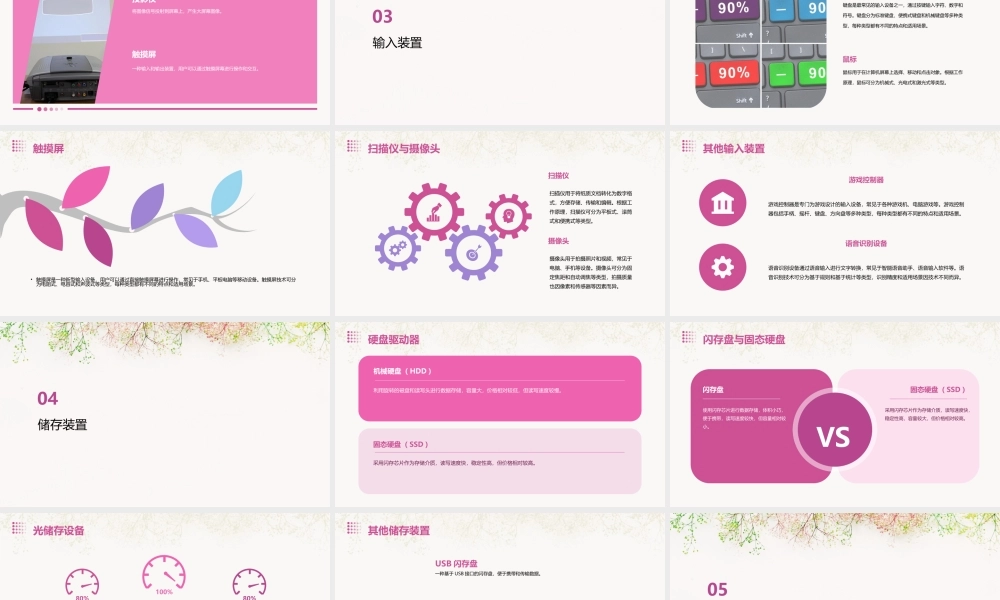 输出输入装置储存装置课件