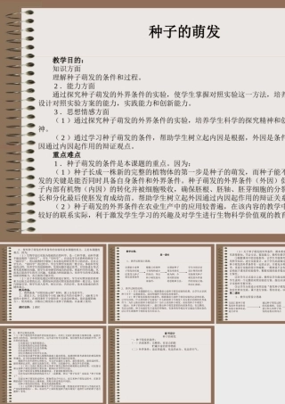 新人教版七年级生物上册种子的萌发ppt(1) 课件