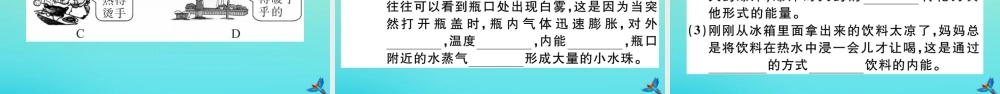 九年级物理全册 第十三章 内能与热机 第一节 物体的内能习题讲评课件 (新版)沪科版 课件