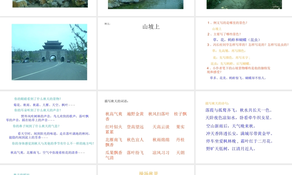 写一处秋天的景色