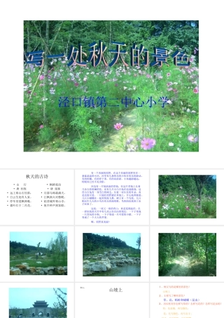 写一处秋天的景色