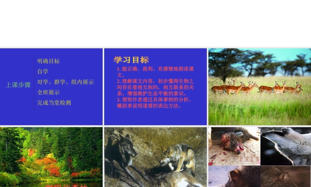 六年级语文上册第四组14鹿和狼的故事第二课时课件