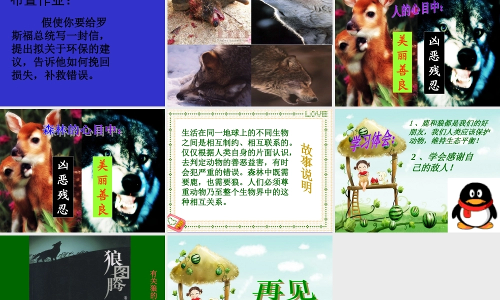 六年级语文上册第四组14鹿和狼的故事第二课时课件