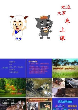 六年级语文上册第四组14鹿和狼的故事第二课时课件