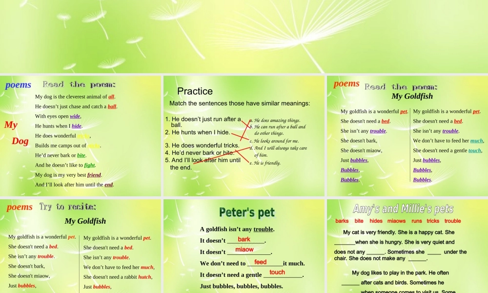 中学七年级英语下册 Unit 8 Pets Reading 2课件 (新版)牛津版 课件