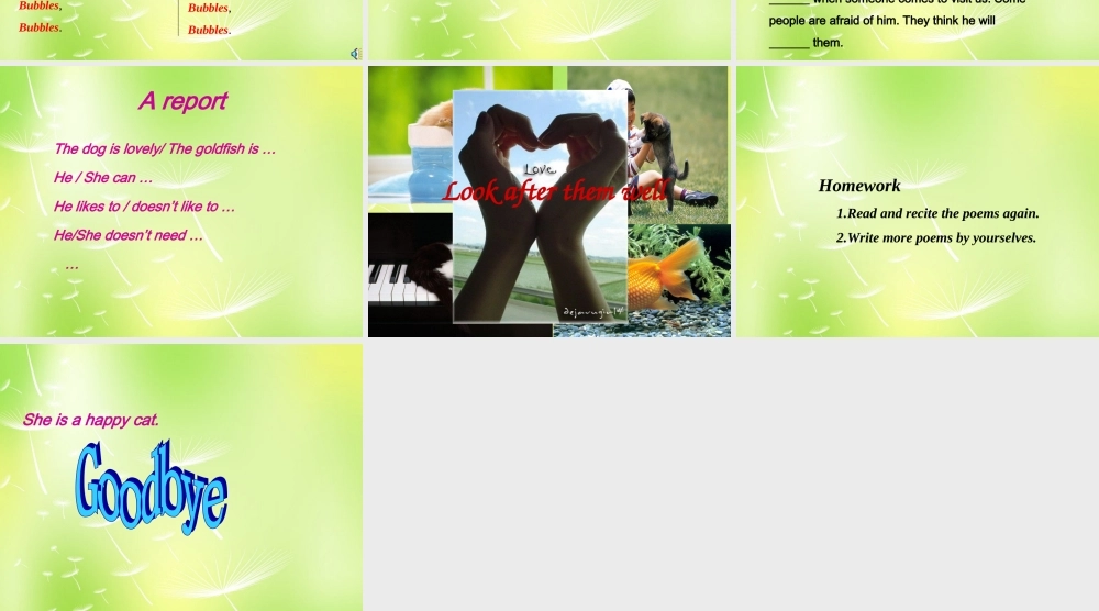 中学七年级英语下册 Unit 8 Pets Reading 2课件 (新版)牛津版 课件