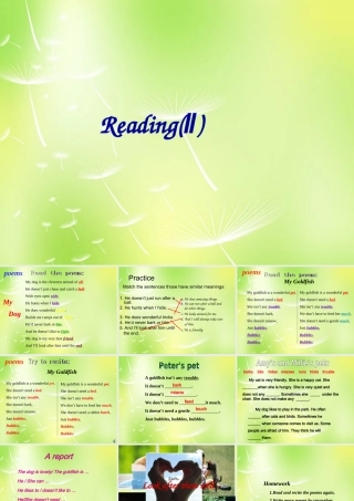 中学七年级英语下册 Unit 8 Pets Reading 2课件 (新版)牛津版 课件