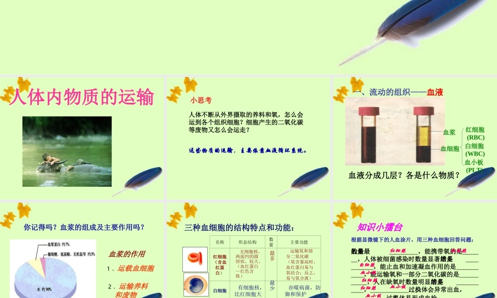 八年级生物上册 生物人体内物质的运输课件 苏教版 课件