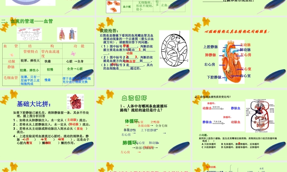 八年级生物上册 生物人体内物质的运输课件 苏教版 课件