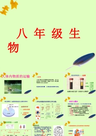 八年级生物上册 生物人体内物质的运输课件 苏教版 课件