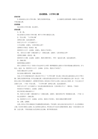 活动教案：小手和小脚