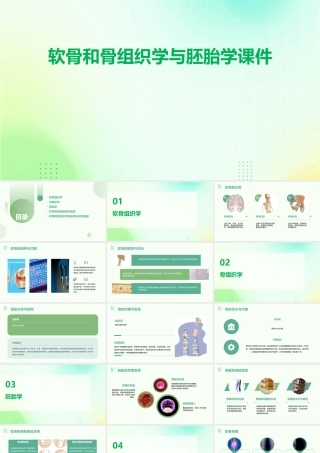 软骨和骨组织学与胚胎学课件