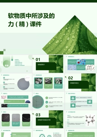 软物质中所涉及的力(精)课件