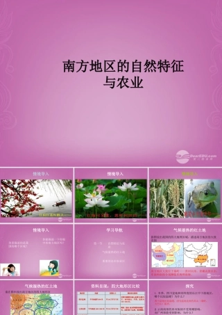 山东省桓台县马桥实验学校八年级地理下册 第七章 第一节 自然特征与农业课件 (新版)新人教版 课件