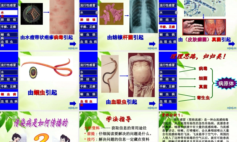 传染病及其预防____公开课__定稿