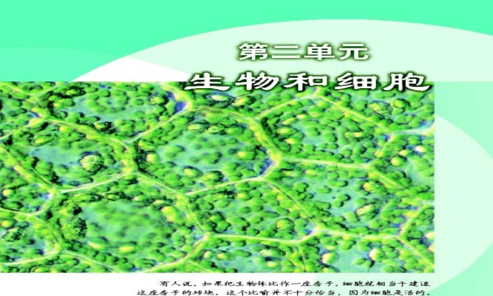 七年级生物练习使用显微镜课件 鲁教版 课件