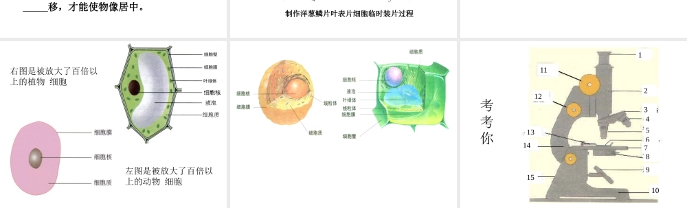 七年级生物练习使用显微镜课件 鲁教版 课件