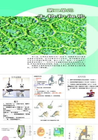 七年级生物练习使用显微镜课件 鲁教版 课件