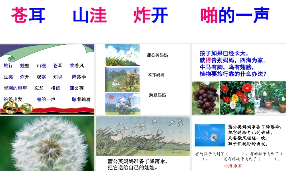 植物妈妈有办法(1)