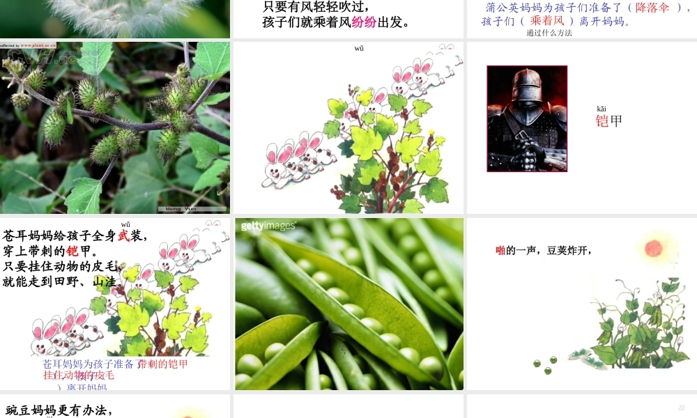 植物妈妈有办法(1)