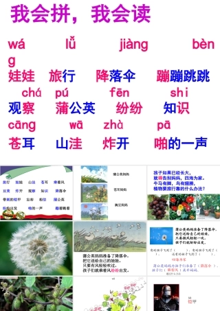 植物妈妈有办法(1)