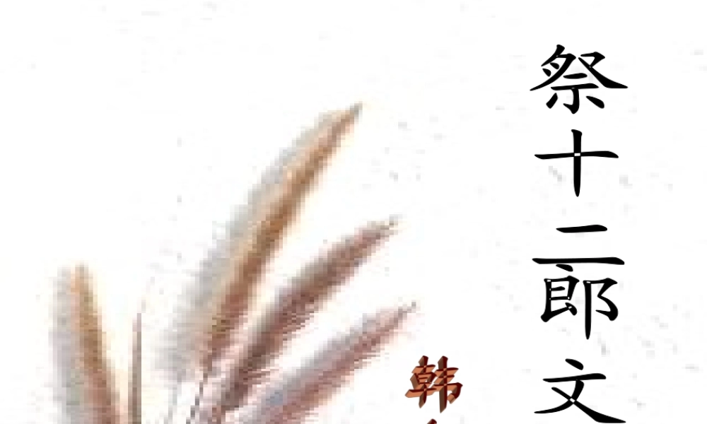 天津市高二语文祭十二郎文课件 人教版 课件