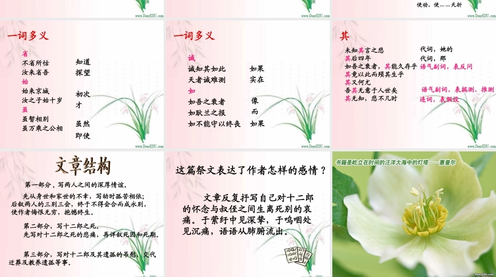 天津市高二语文祭十二郎文课件 人教版 课件