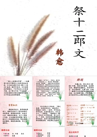 天津市高二语文祭十二郎文课件 人教版 课件