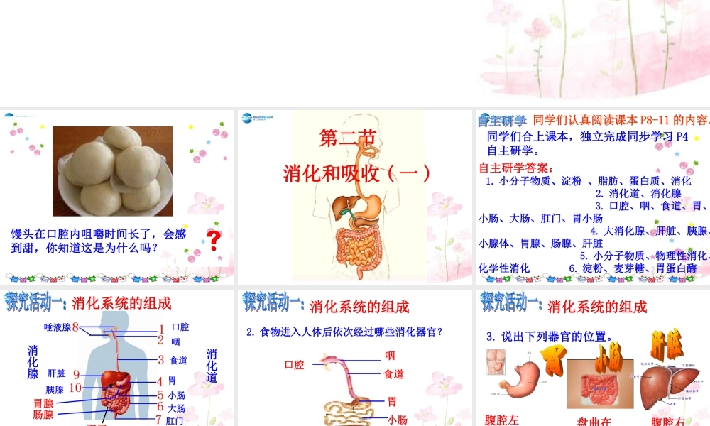 中学七年级生物下册 3.1.2 消化和吸收课件 (新版)济南版 课件