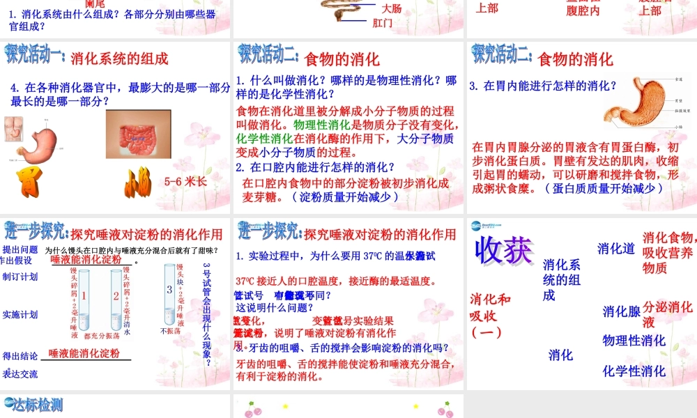 中学七年级生物下册 3.1.2 消化和吸收课件 (新版)济南版 课件