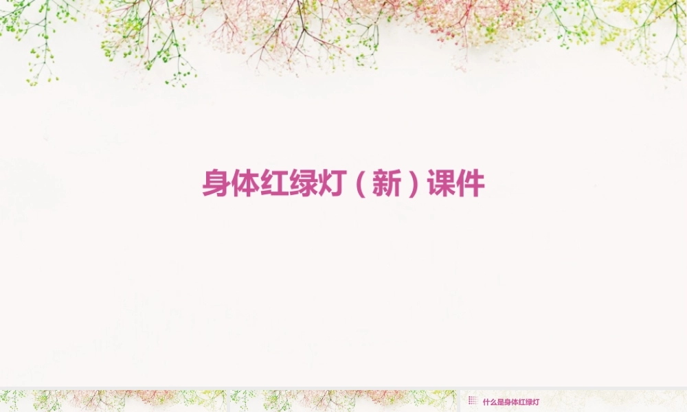 身体红绿灯(新)课件