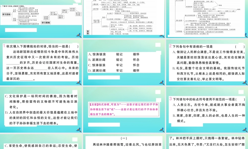 九年级语文上册 第六单元 21 智取生辰纲作业课件 新人教版 课件