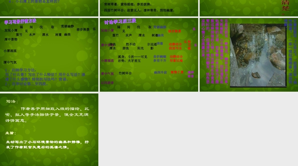 八年级语文下册 26 小石潭记课件 新人教版 课件