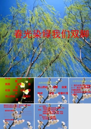 苏教版小学语文五年级春光染绿我们双脚