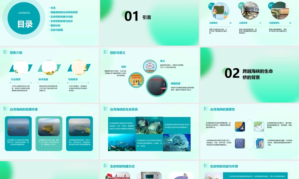 跨越海峡的生命桥完美课件