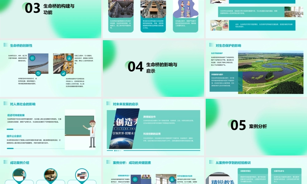 跨越海峡的生命桥完美课件