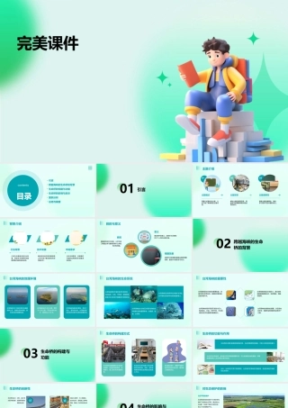 跨越海峡的生命桥完美课件