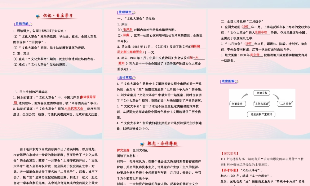 八年级历史下册 第2单元 社会主义道路的探索 第7课 全国大动乱课件 岳麓版 课件