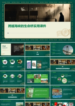 跨越海峡的生命桥实用课件