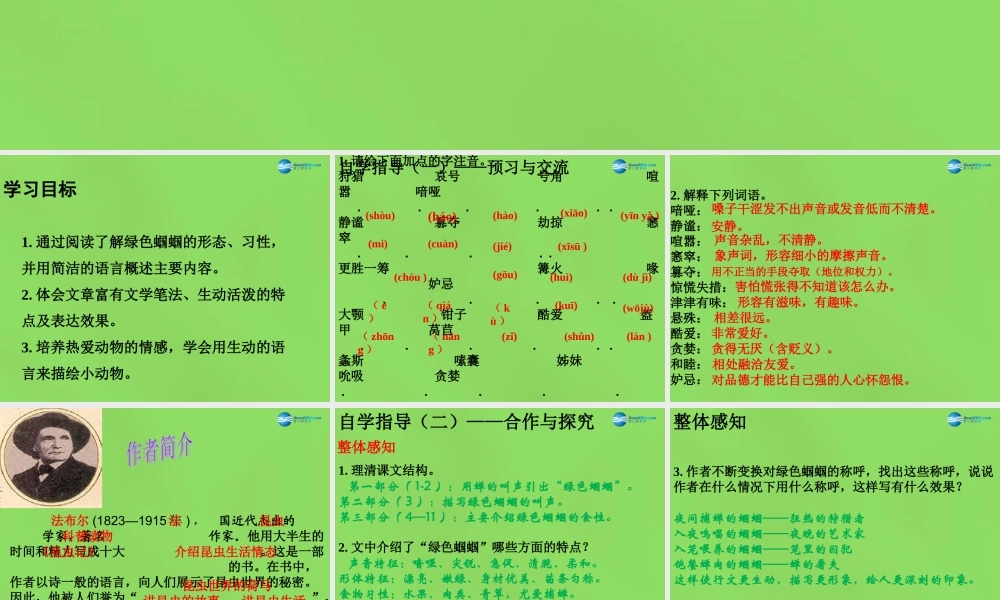 七年级语文上册 23 绿色蝈蝈课件 (新版)新人教版 课件