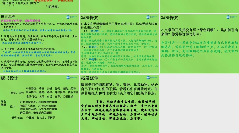 七年级语文上册 23 绿色蝈蝈课件 (新版)新人教版 课件