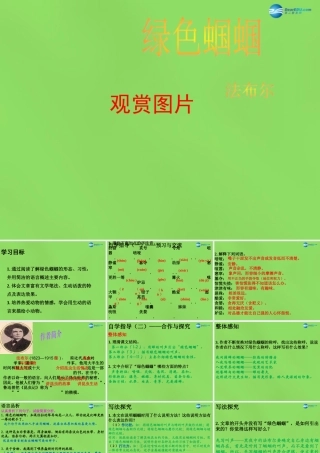 七年级语文上册 23 绿色蝈蝈课件 (新版)新人教版 课件