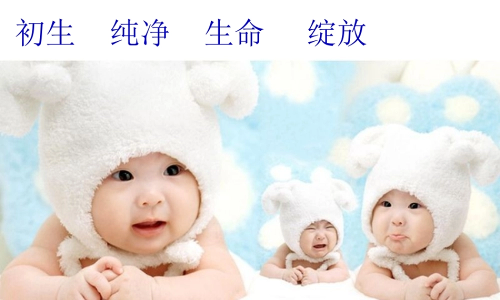 善待生命学会论证