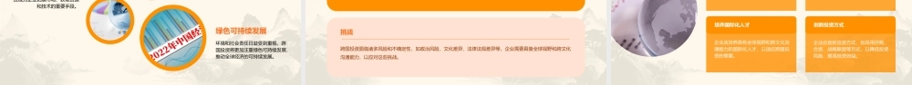 跨国投资政策与战略课件