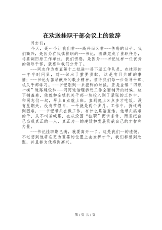 在欢送挂职干部会议上的致辞