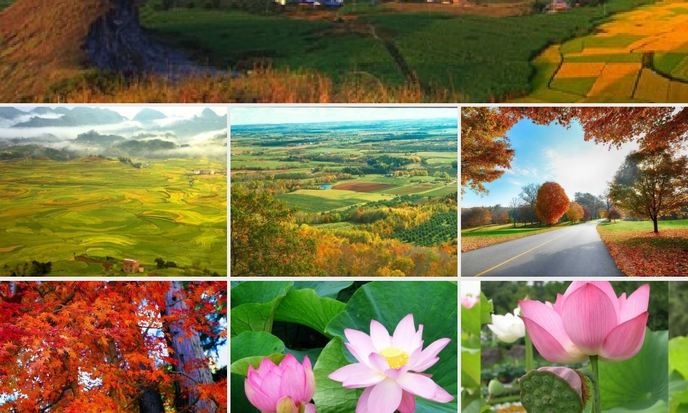 xfdh《西风的话》课件