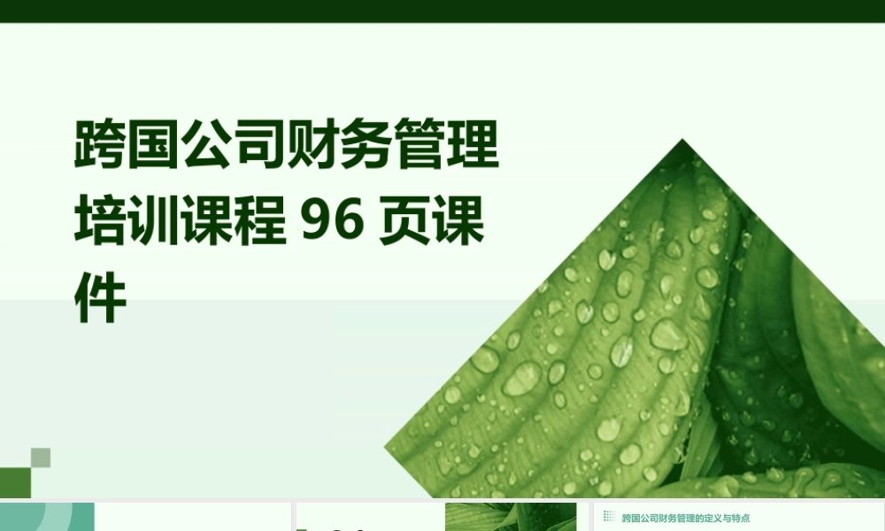 跨国公司财务管理培训课程96页课件